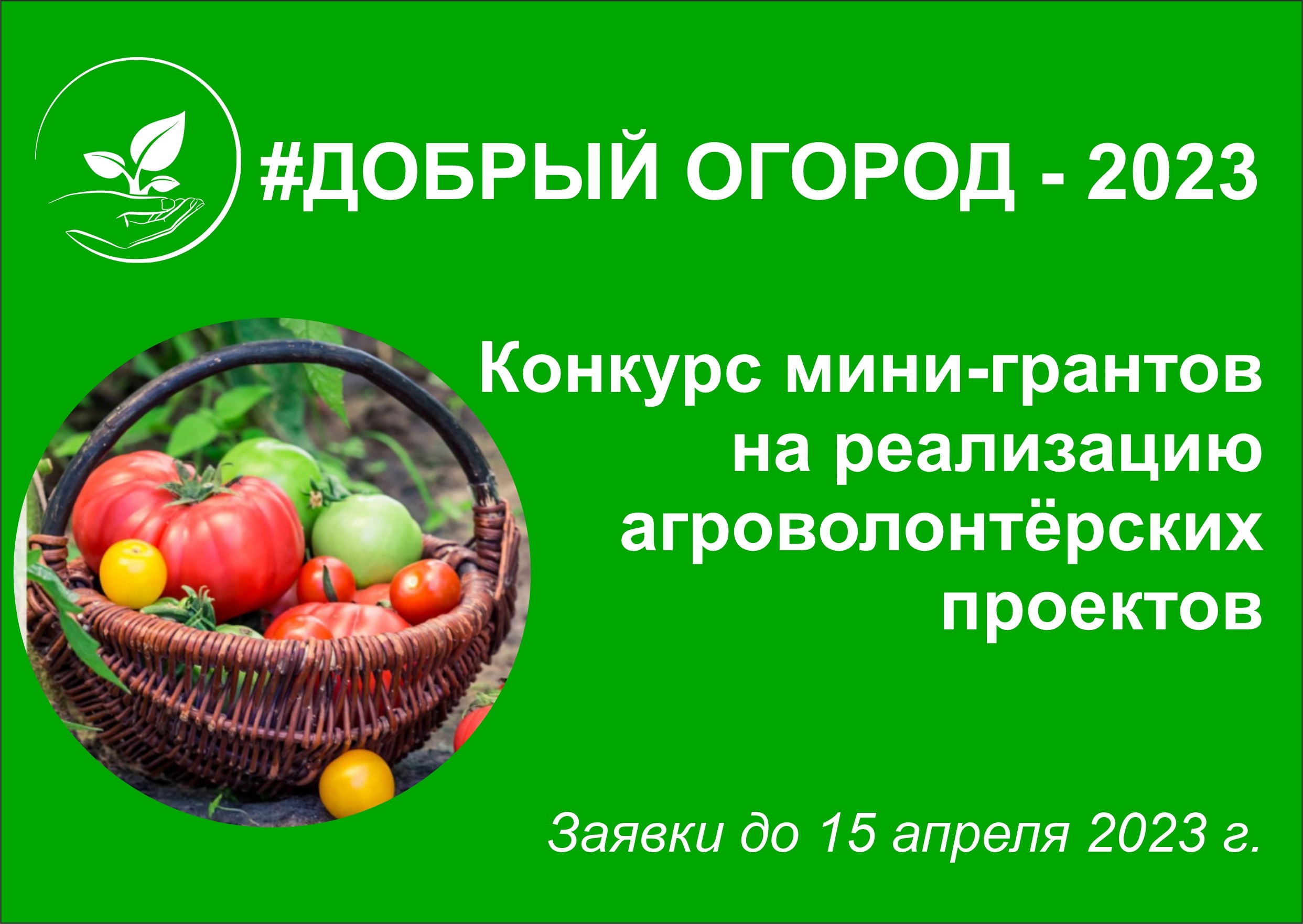 #Добрый огород-2023: сезон открыт